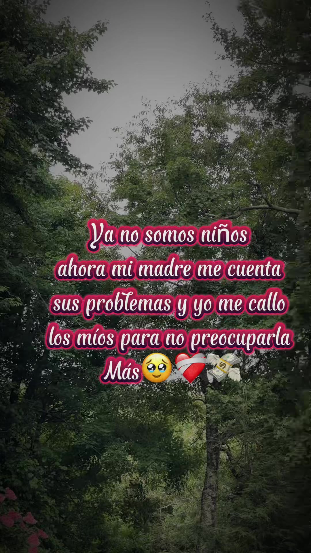 @Gabriela López