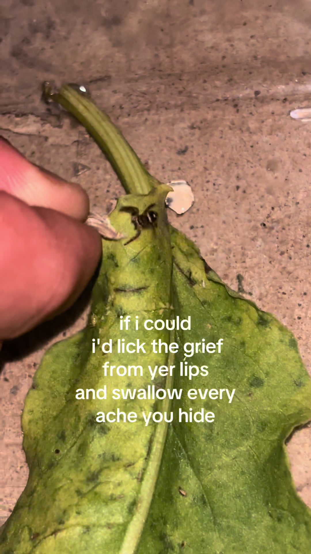@okcrawdaddy