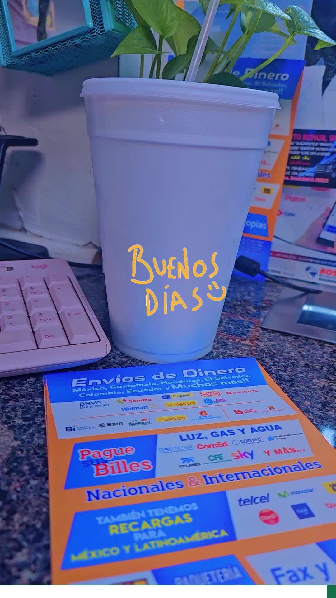 @internacional Express🦋 Lulú💙