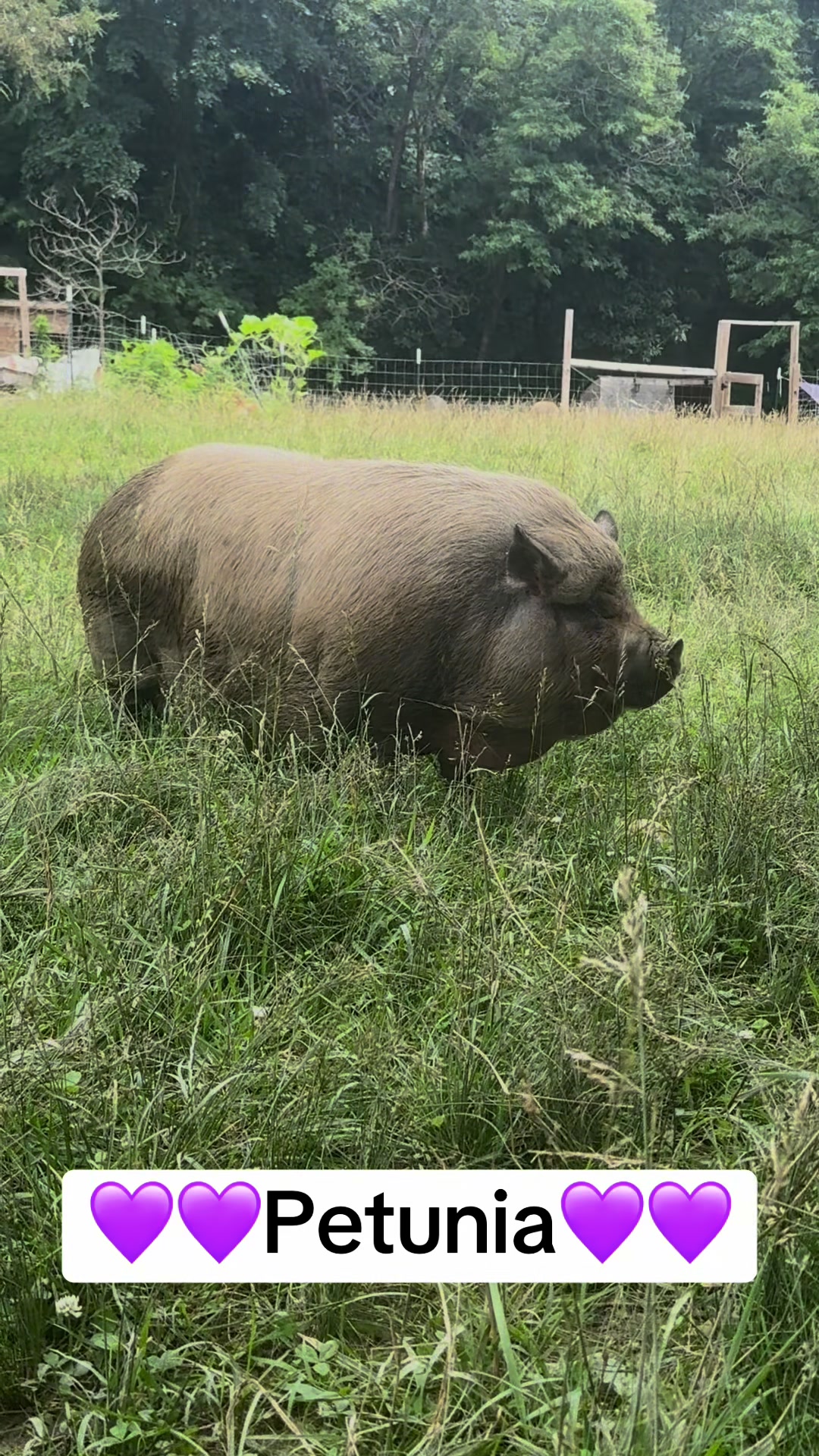 @merrickfarmstead