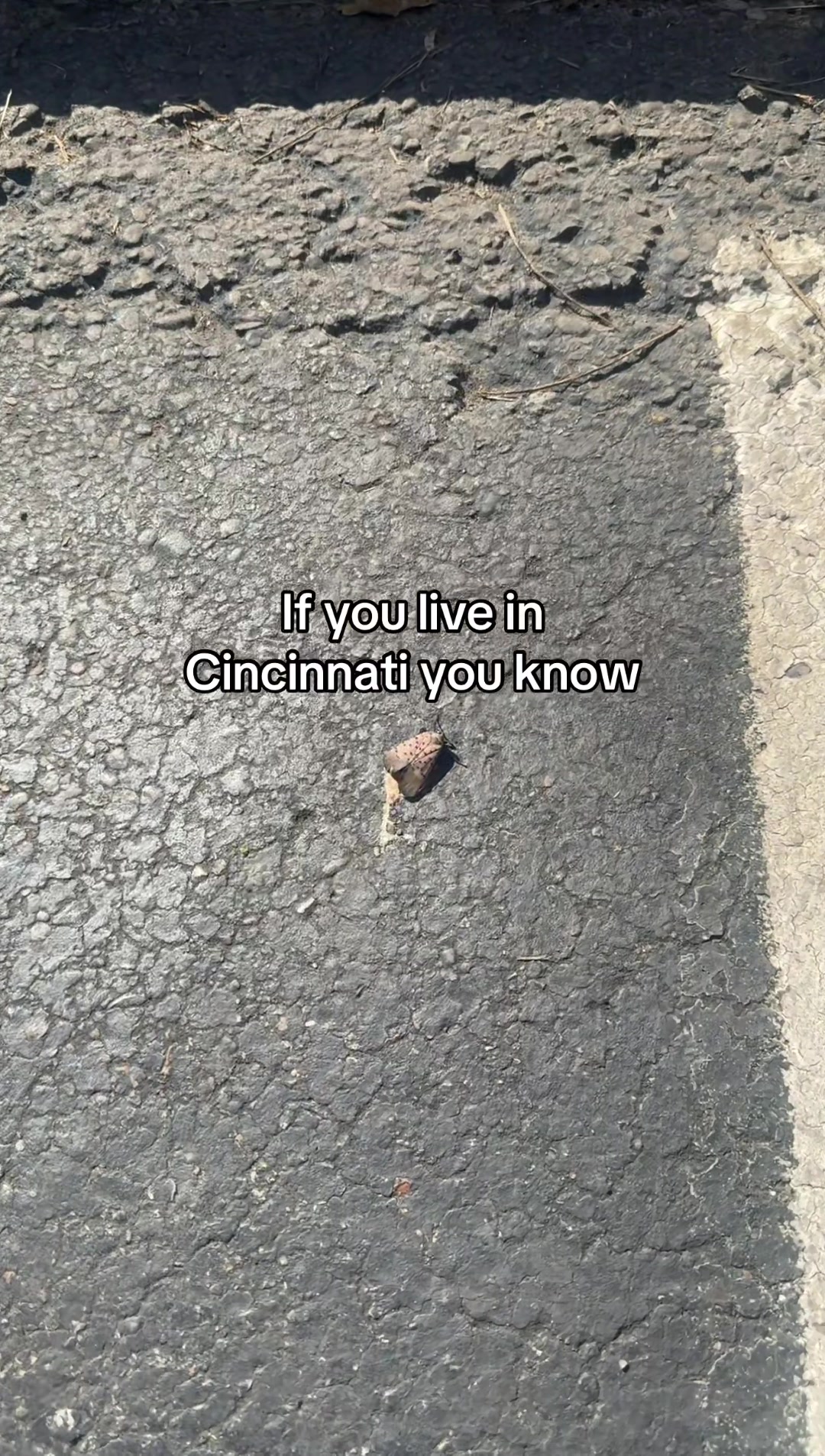@thatcincinnaticouple