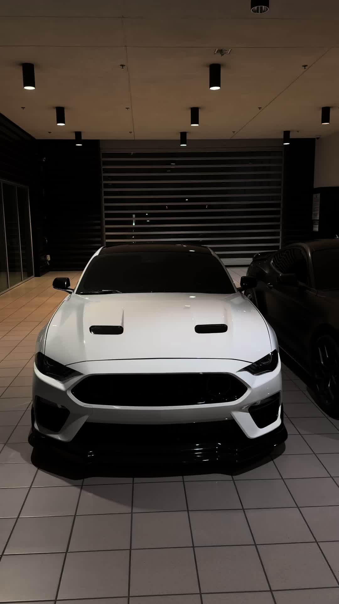 @Jalen.cs