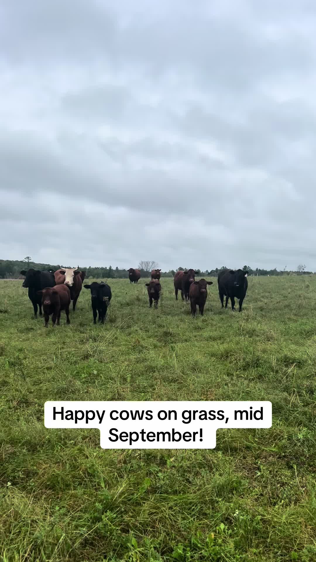 @littlesandycreekfarm