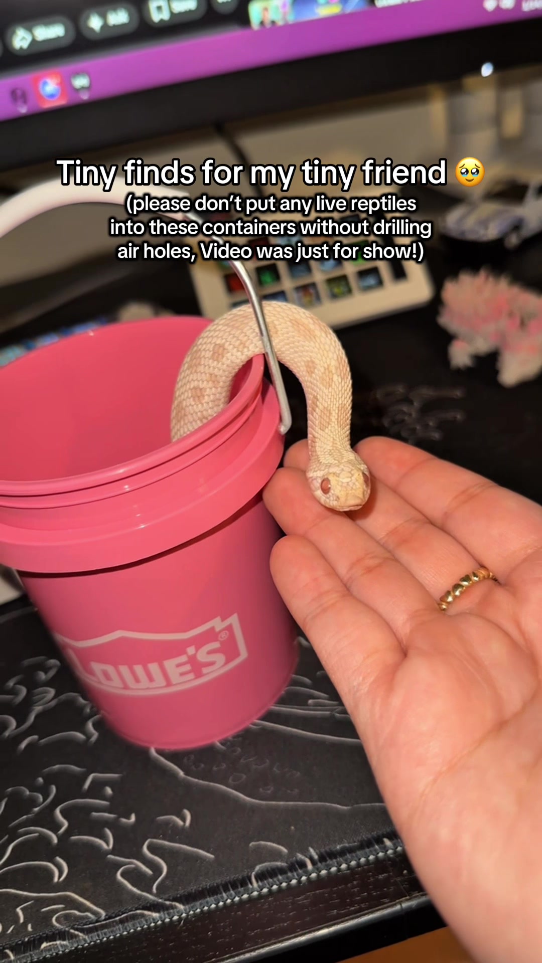 @Repti.snoot