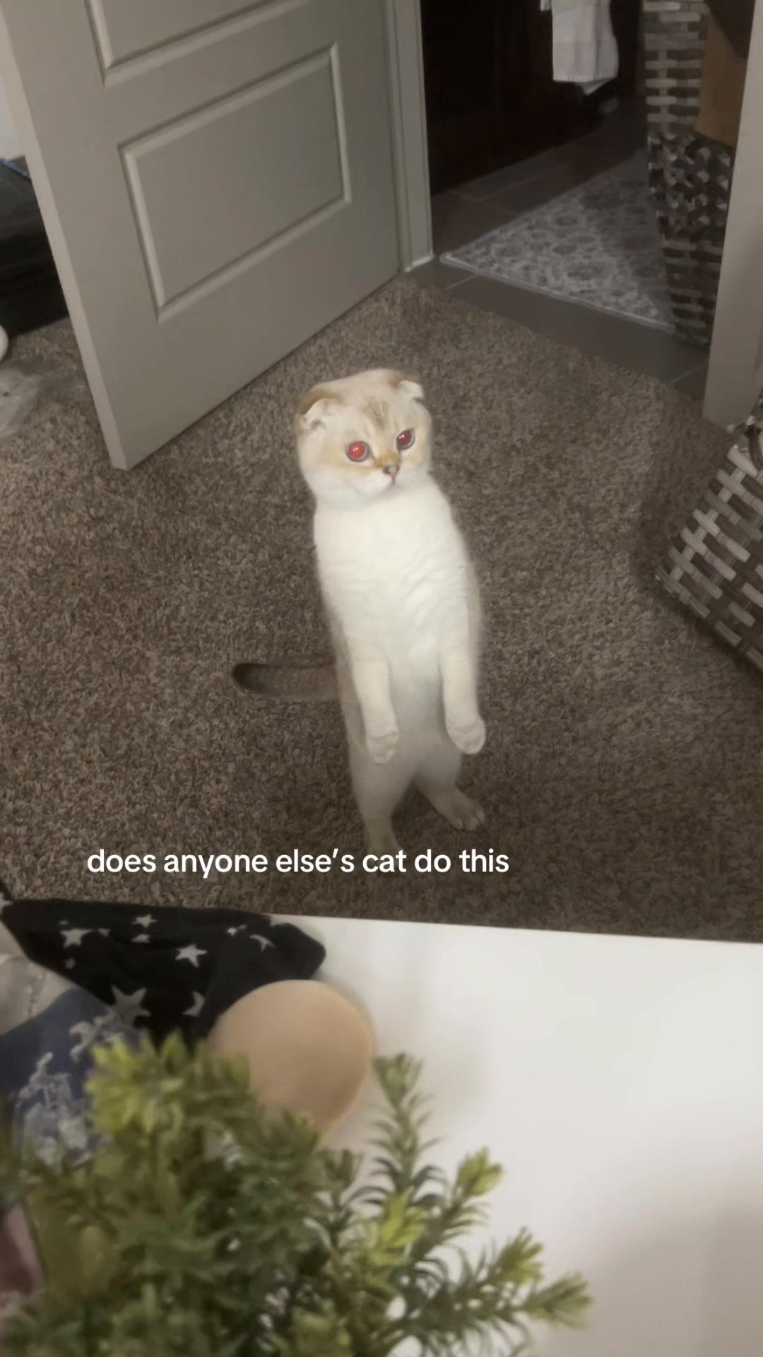 @Lena !!