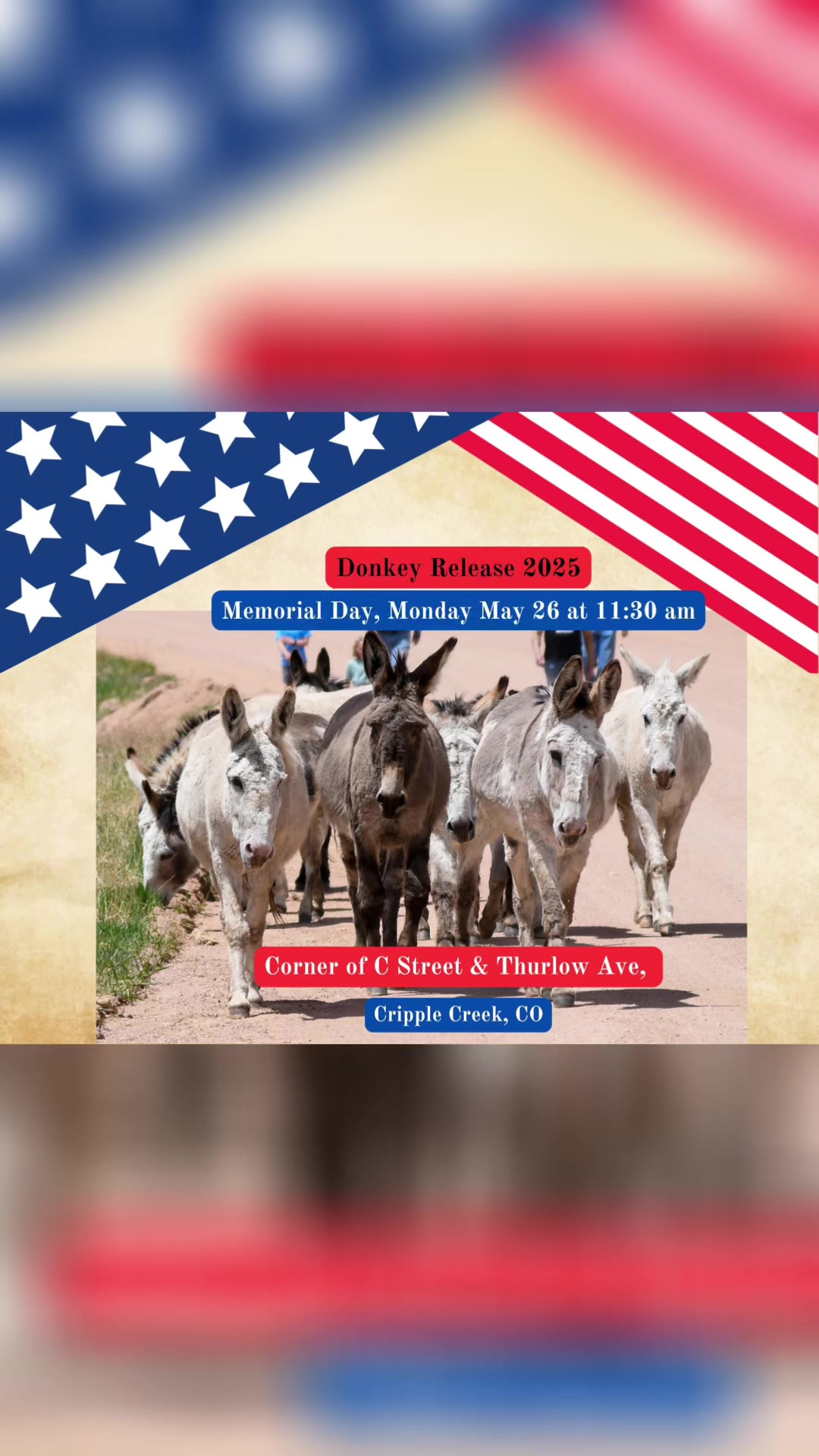 @CCDonkeysOfficial