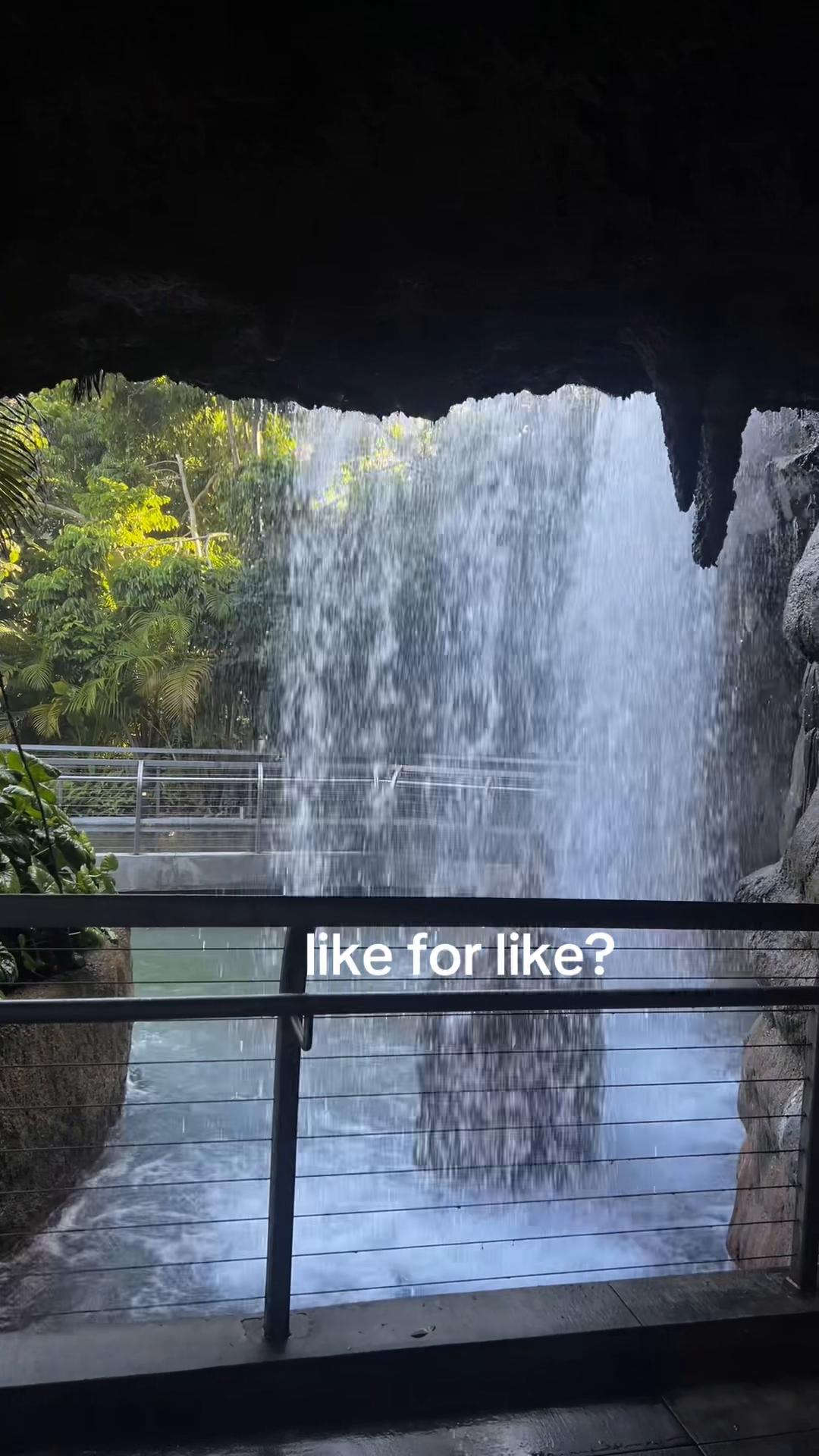 @like my reposts