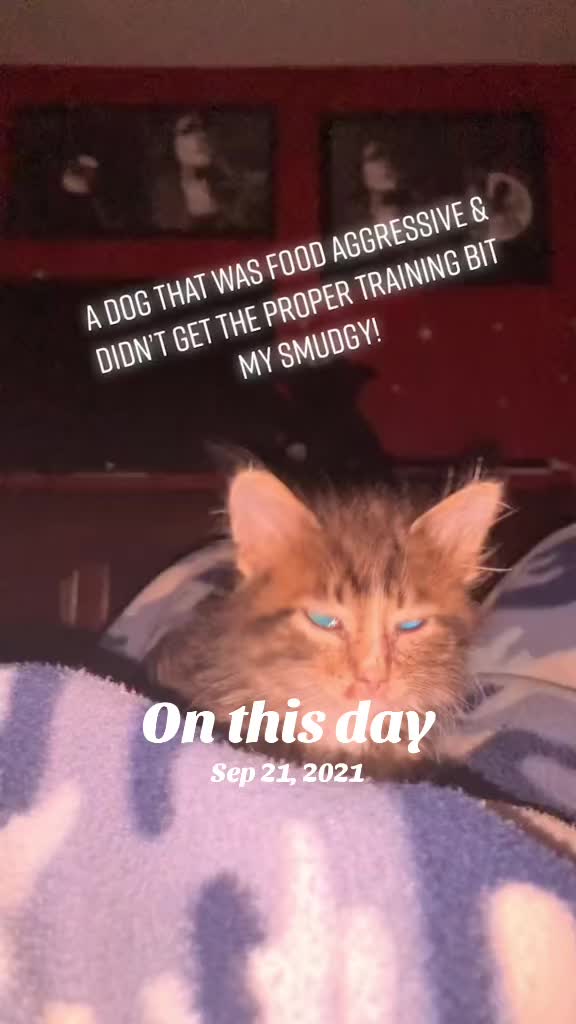 @MsHypurr