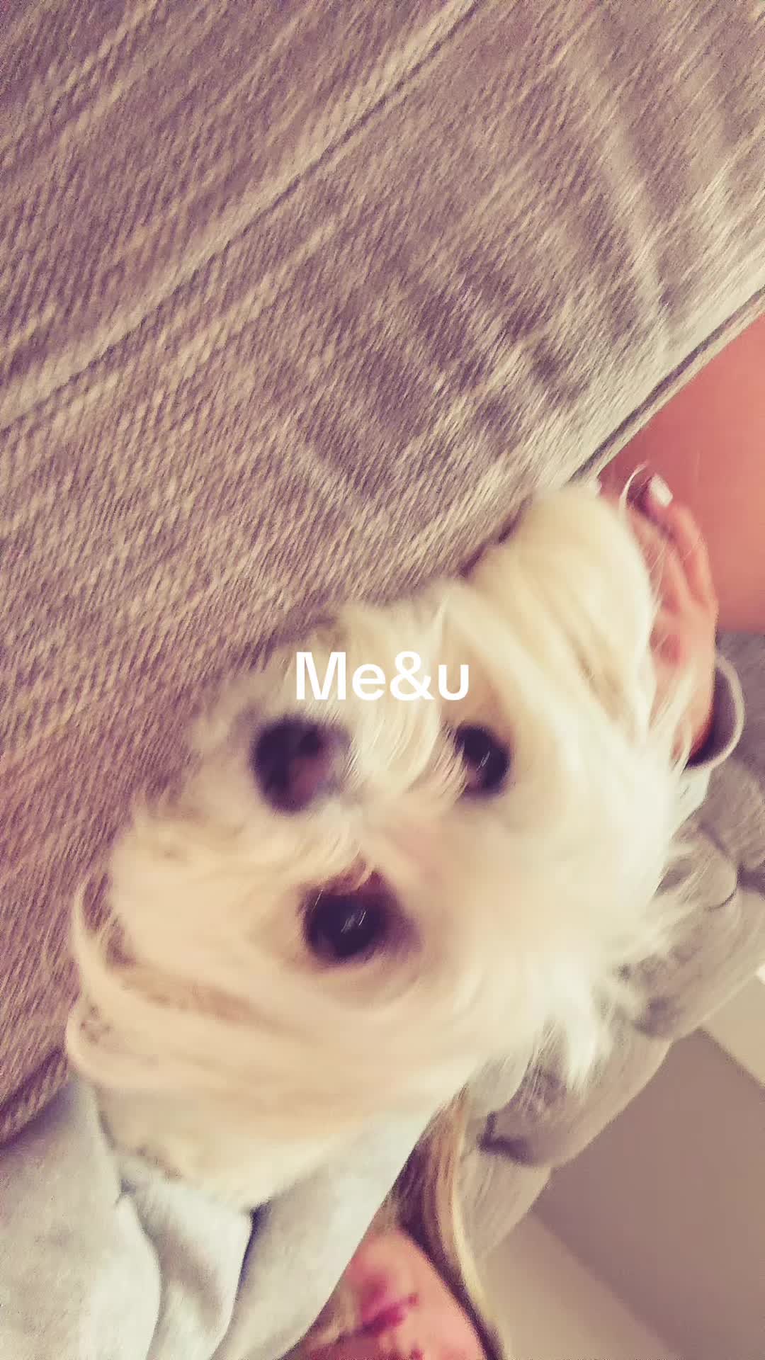 @Ligma