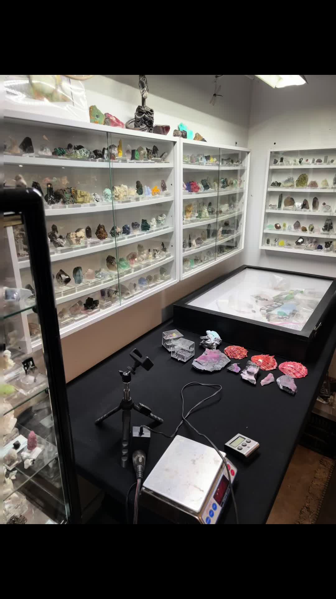 @dracstudios