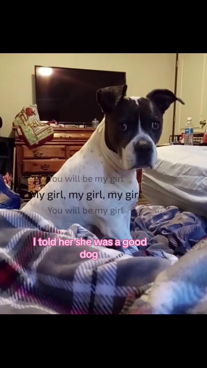 @lil_nightmare2206