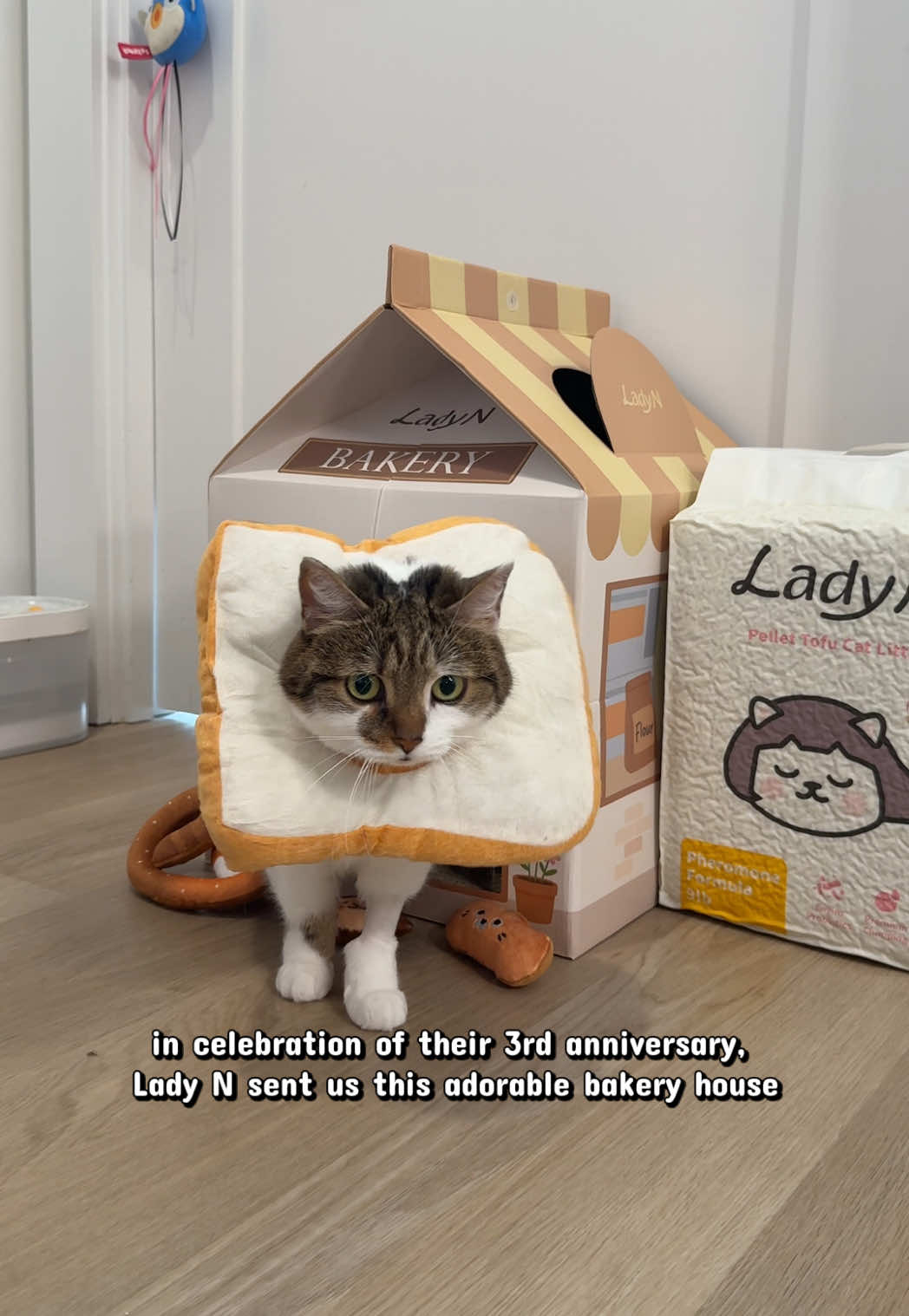 @Suki Purrs