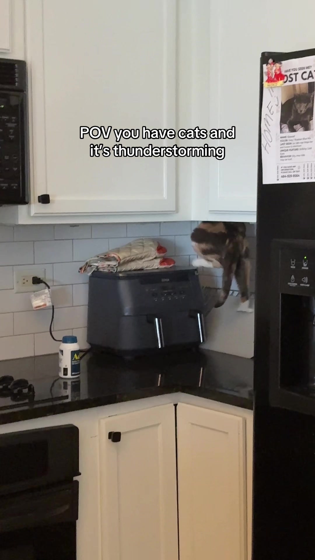 @Quinn The Calico