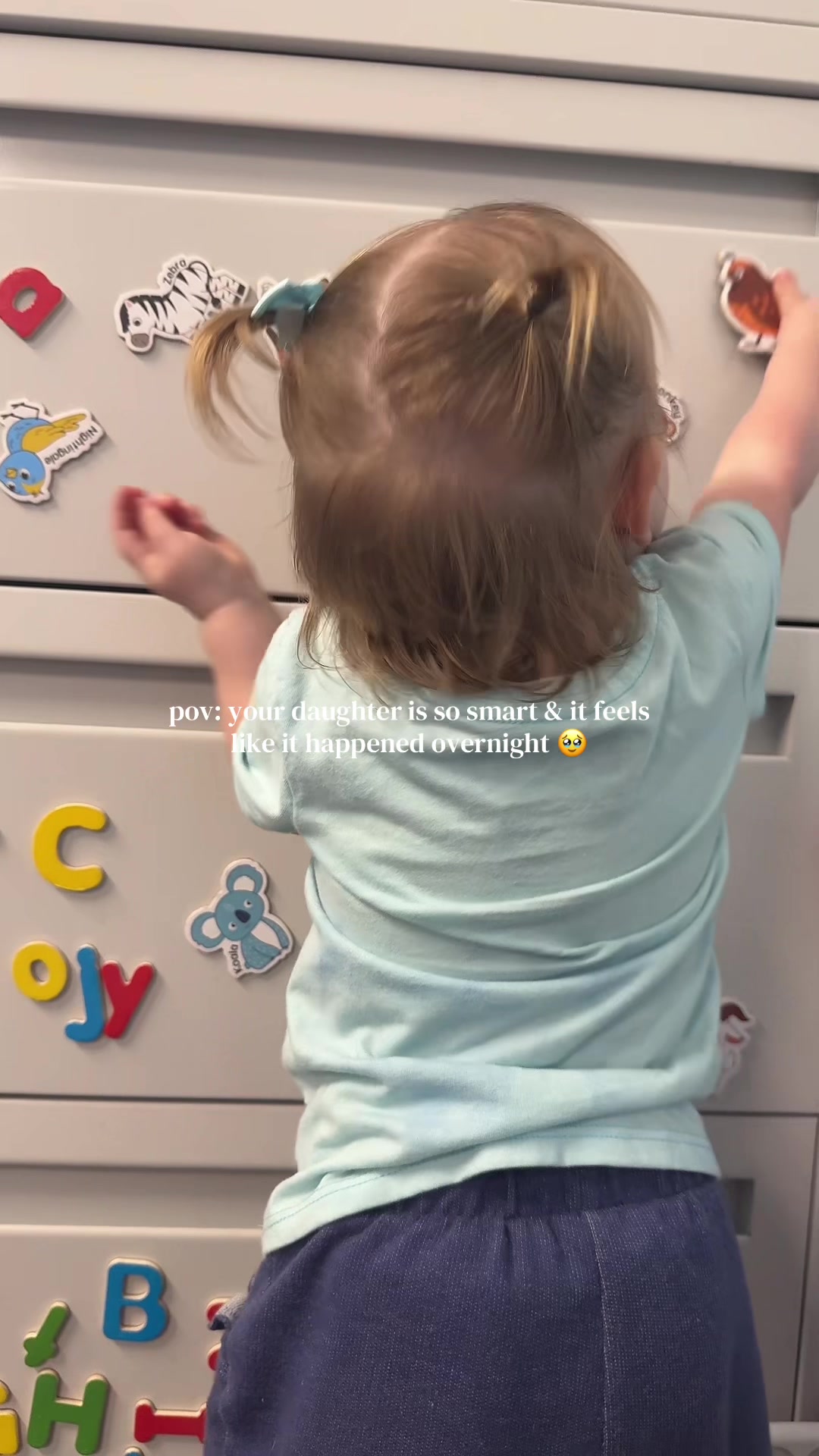 @🧀cheese | mama + eforest tips