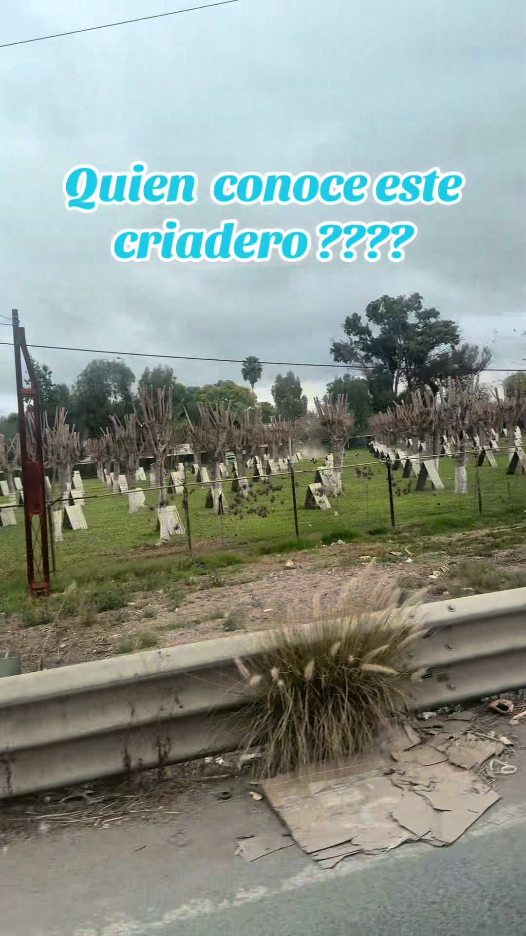 @ElPalmaritoGAMEFARM