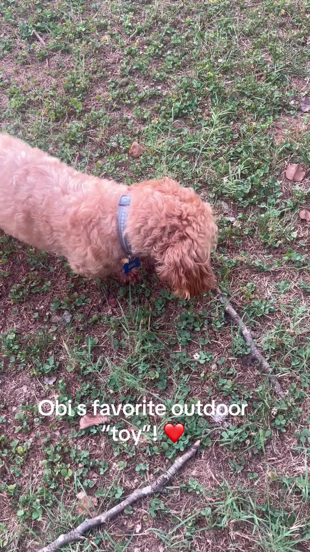@Obi