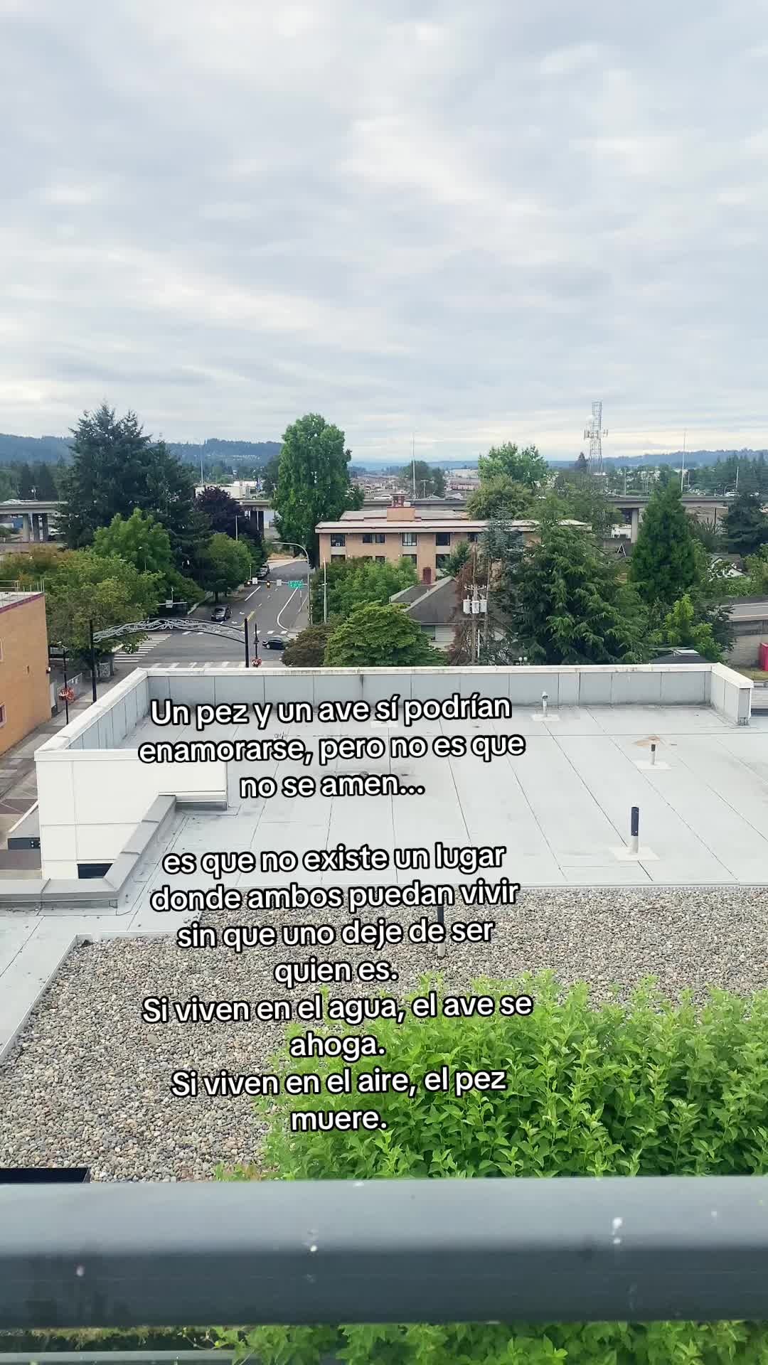 @luisgonzalez1502