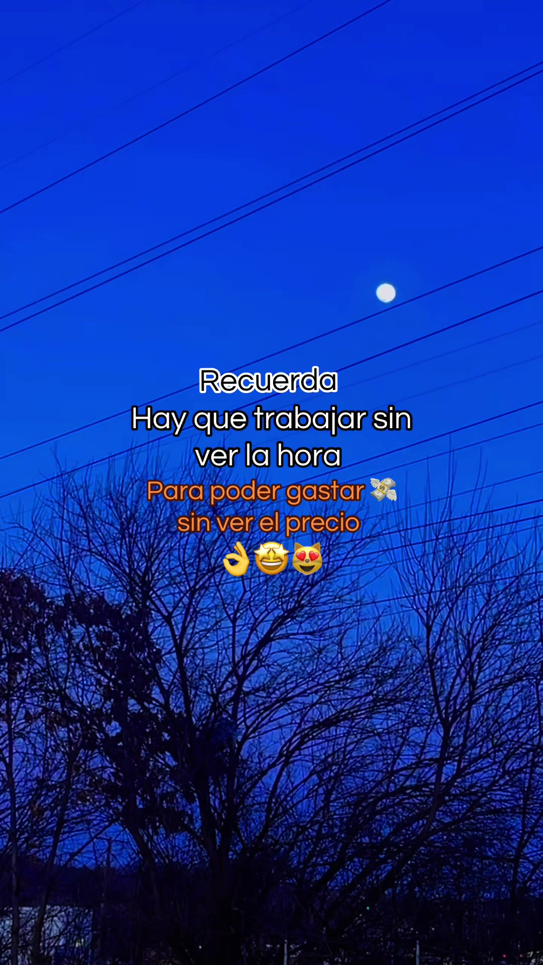 @꓄꒐꓄ꋬ ꃳꄲꆰ꒤꒐ꋊ