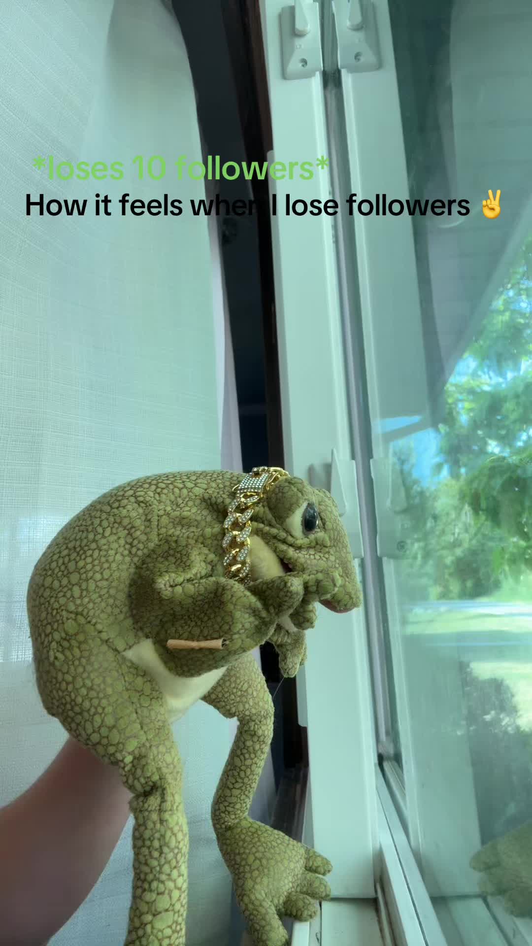 @Freddy_theFreakyFrog