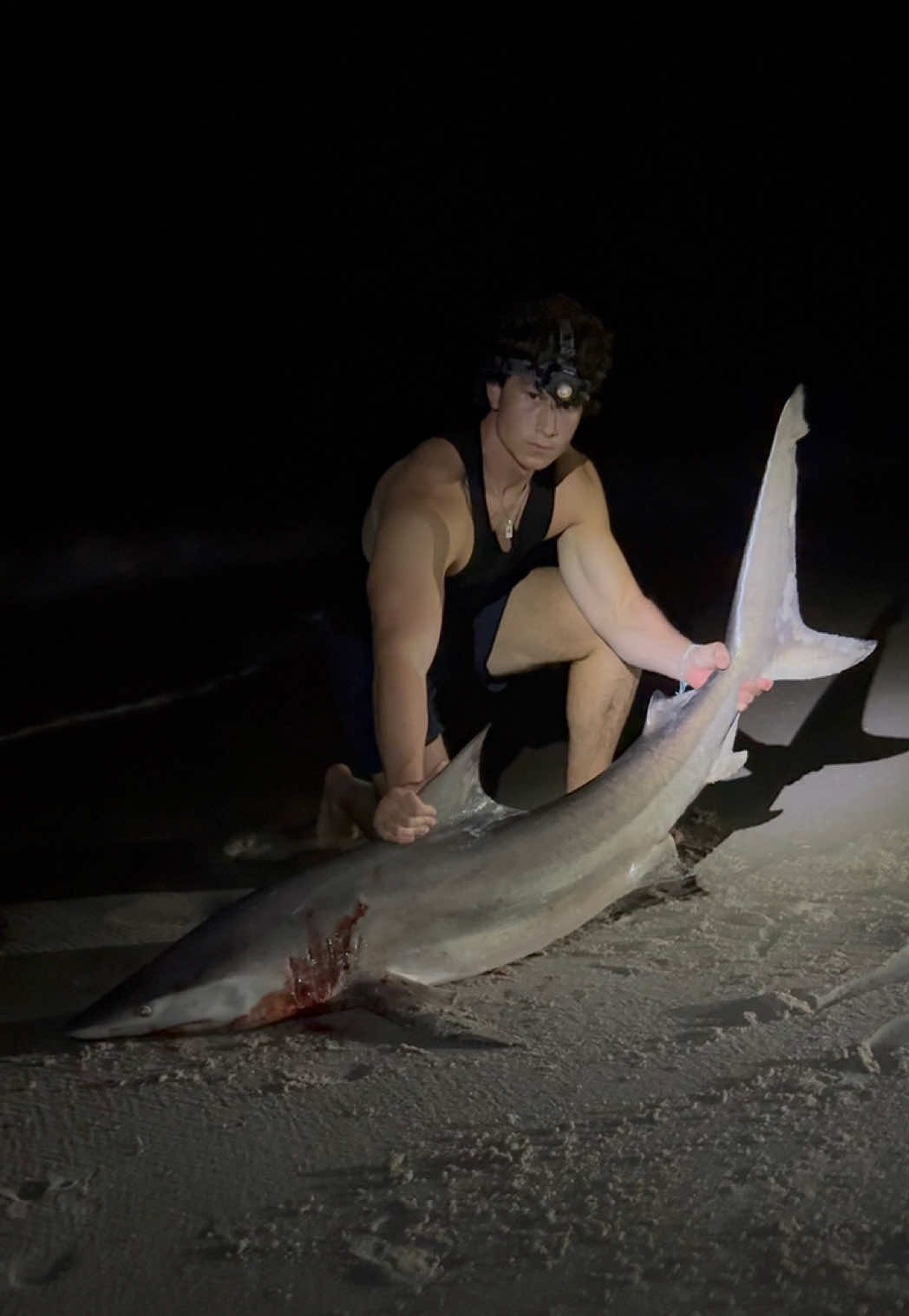 @ILM Shark Club