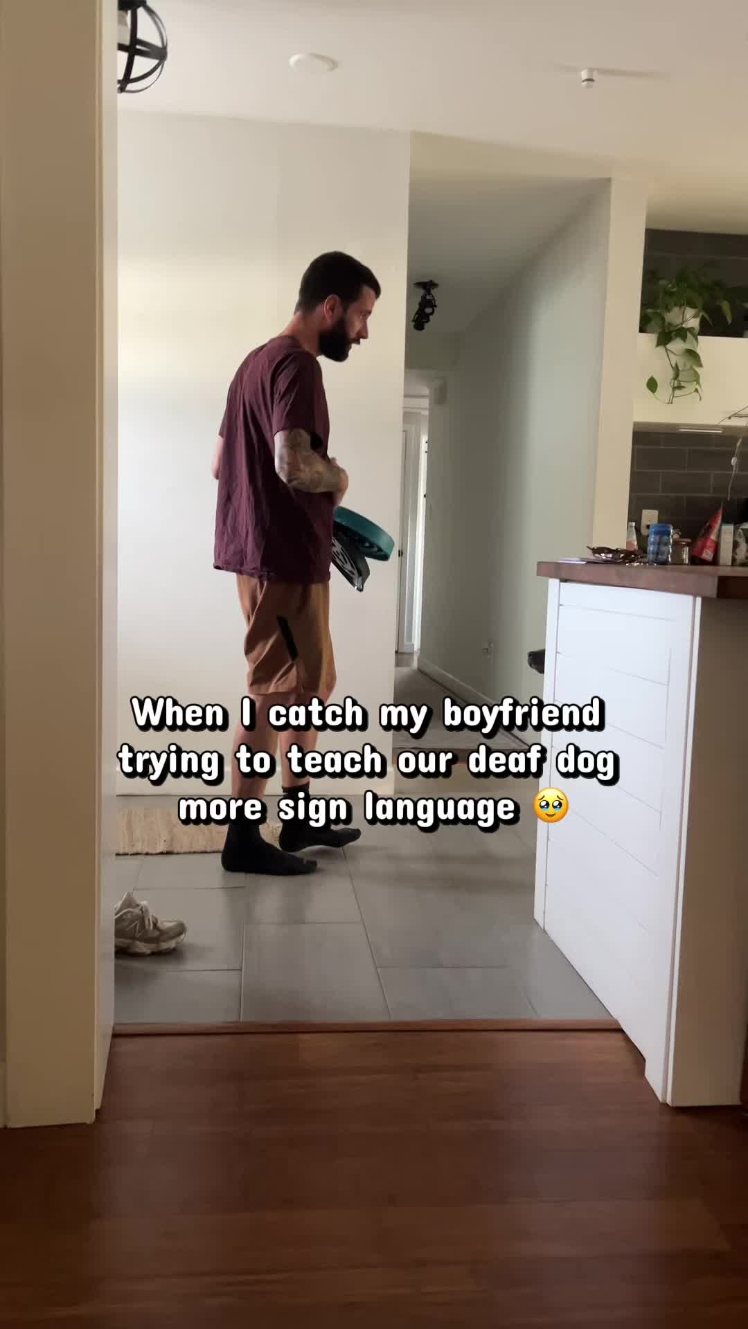 @StellatheDeafBulldane