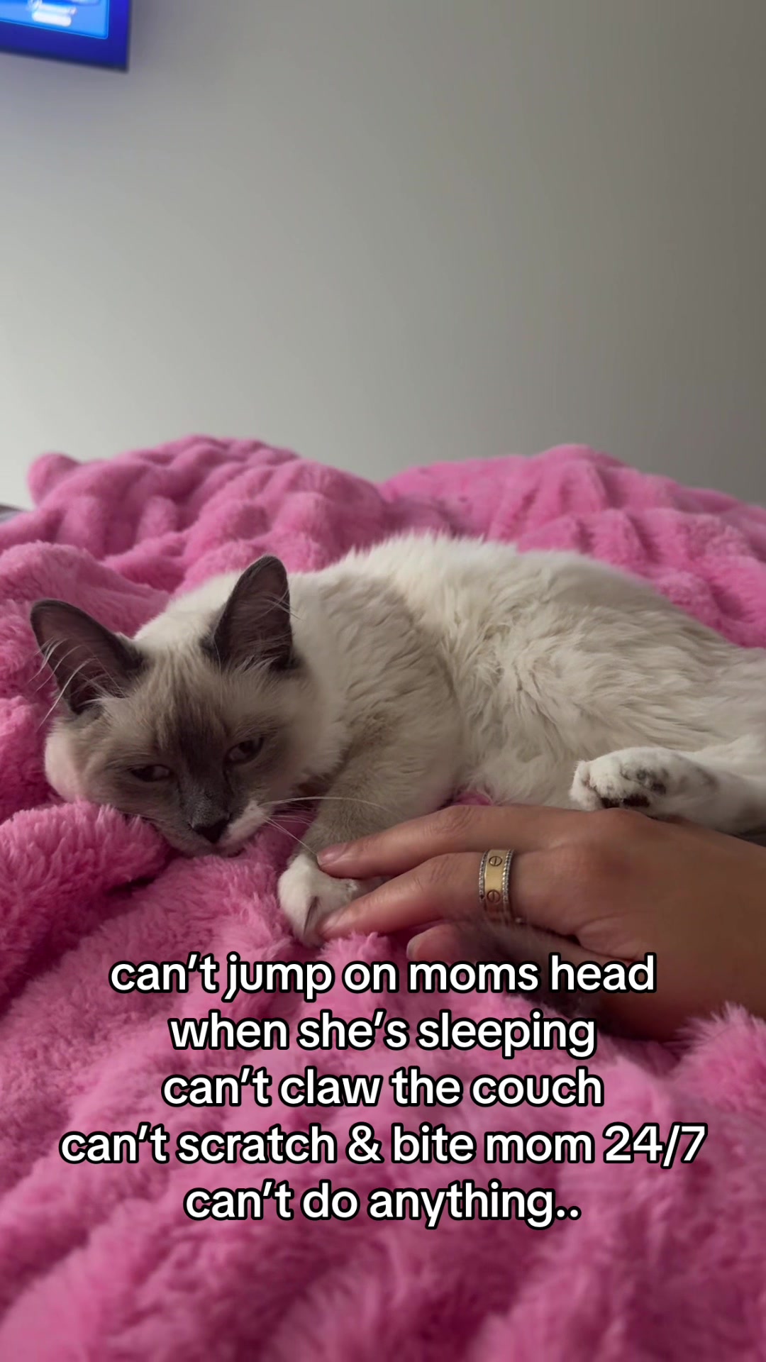 @jord