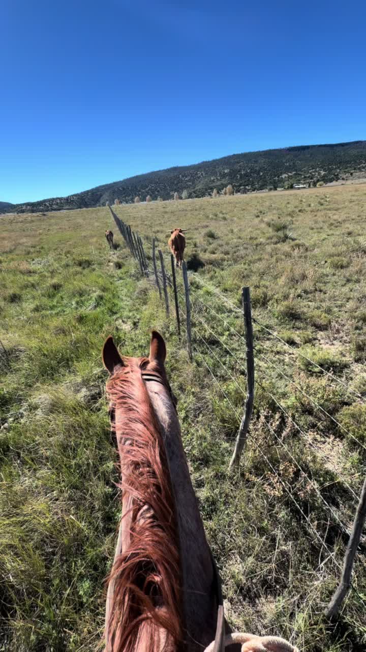 @cowgirlcommentary