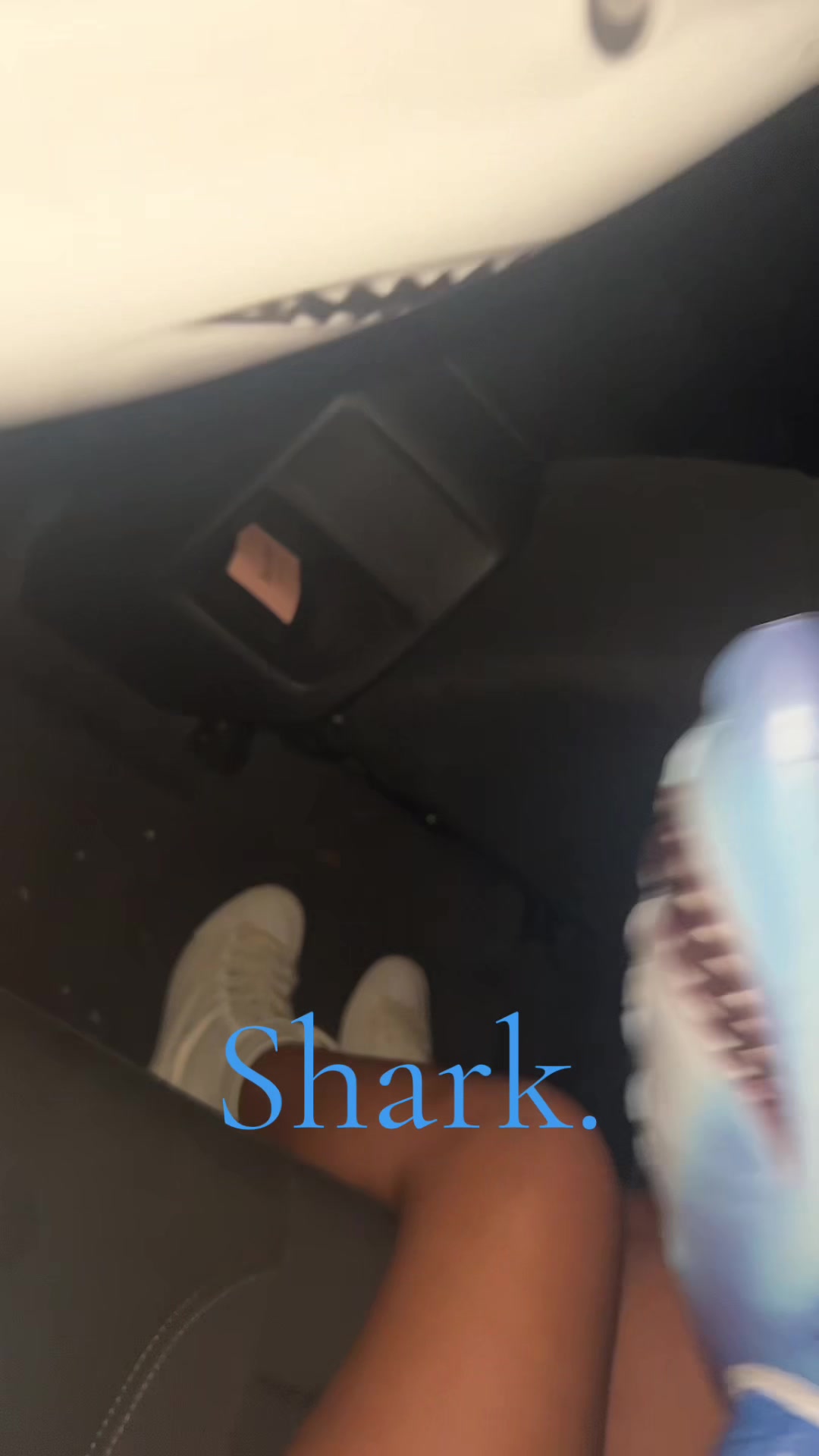 @&bull;* .ฅᨐฅ. *&bull;