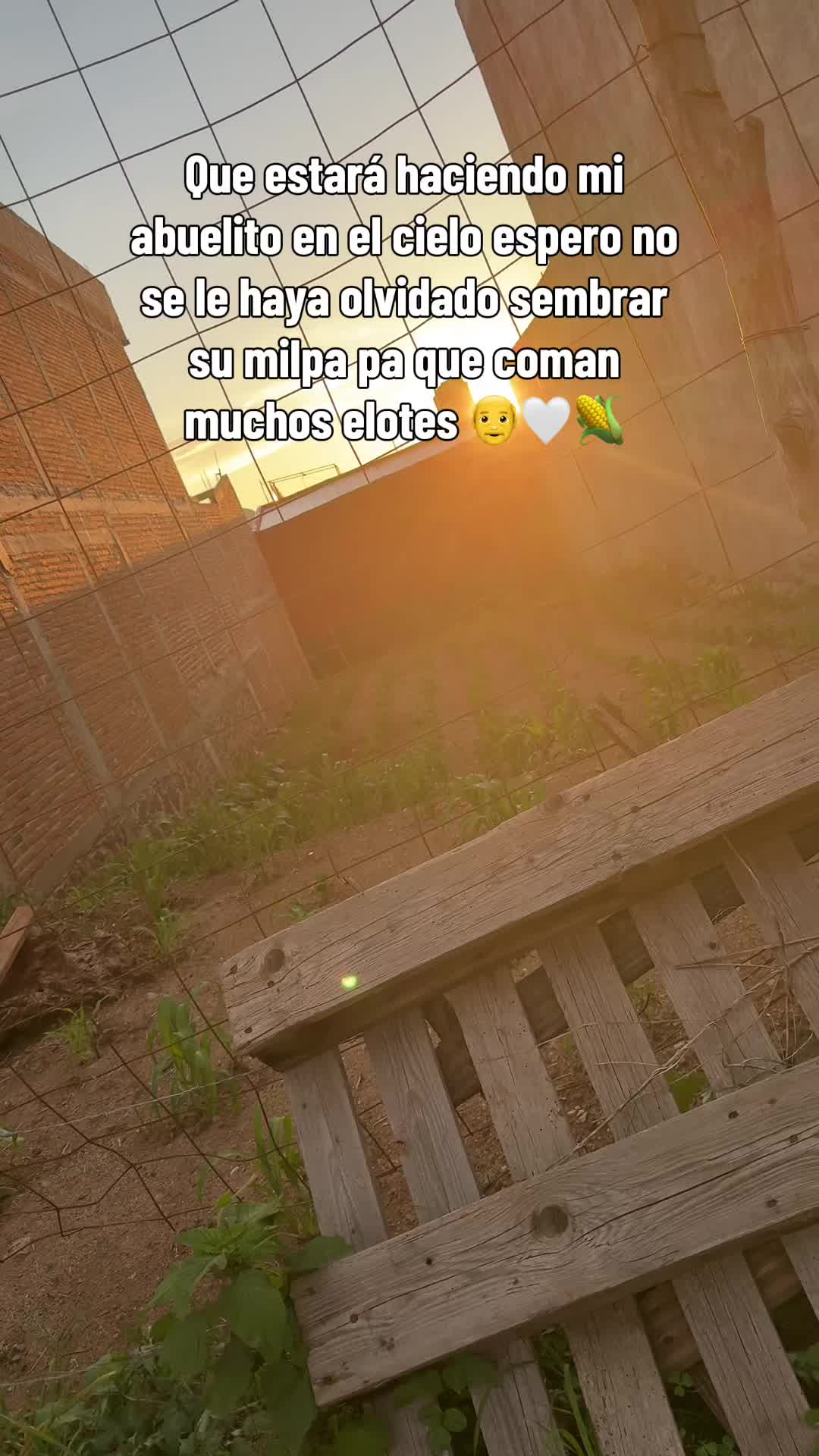 @Alma Padilla