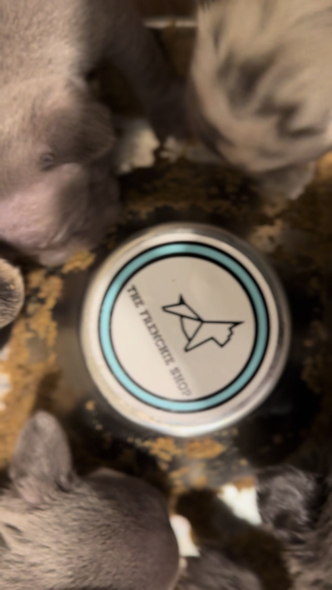 @TheFrenchieShop