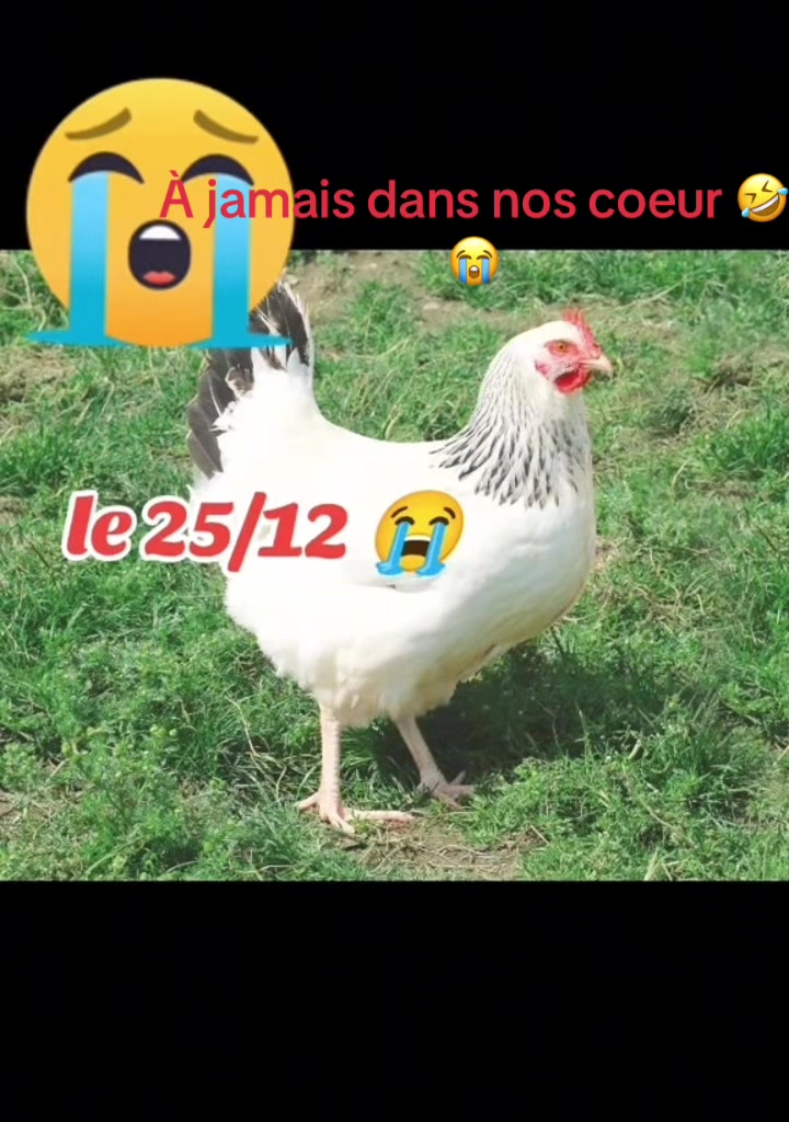 @SCOTT &Eacute;CRIVAIN 📑 ✍️