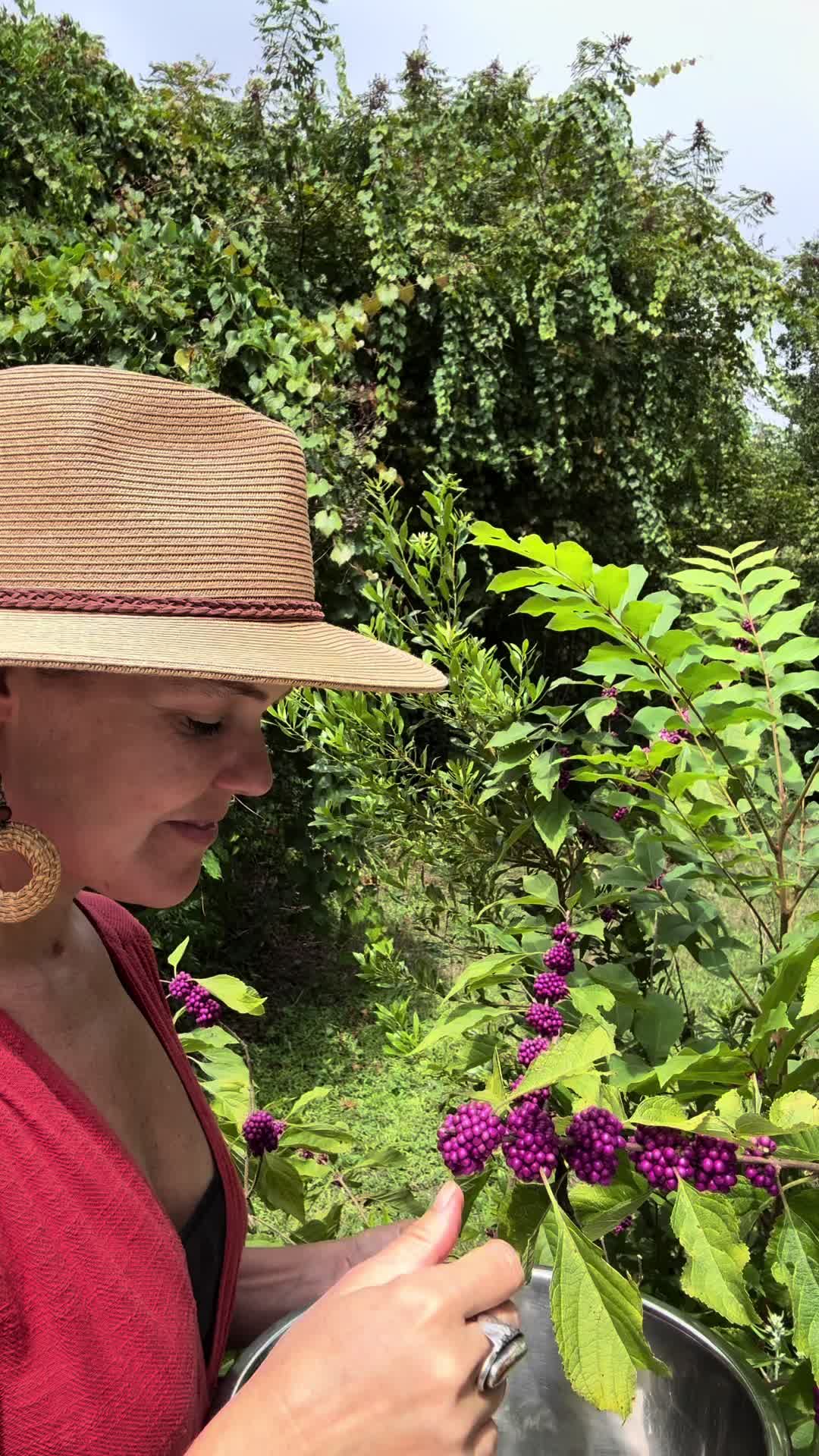 @wildherbacademy