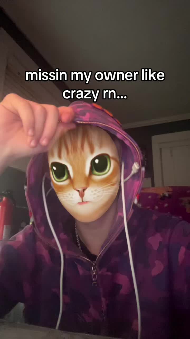 @sexysigmamale 🎼