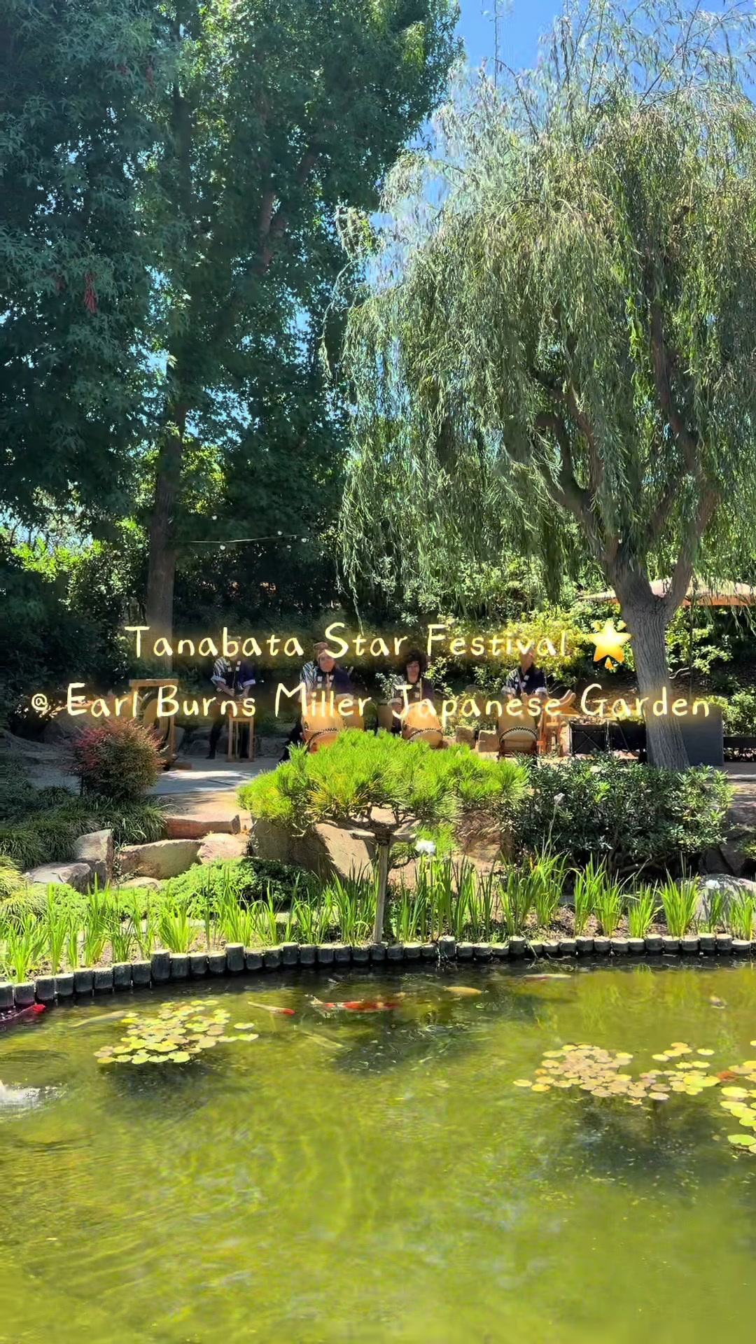 @csulbstudent