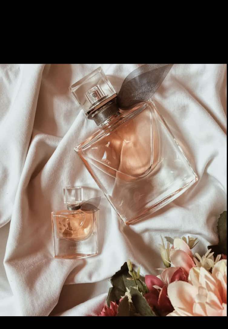 @𝒴𝒶𝓃𝒾 🎀