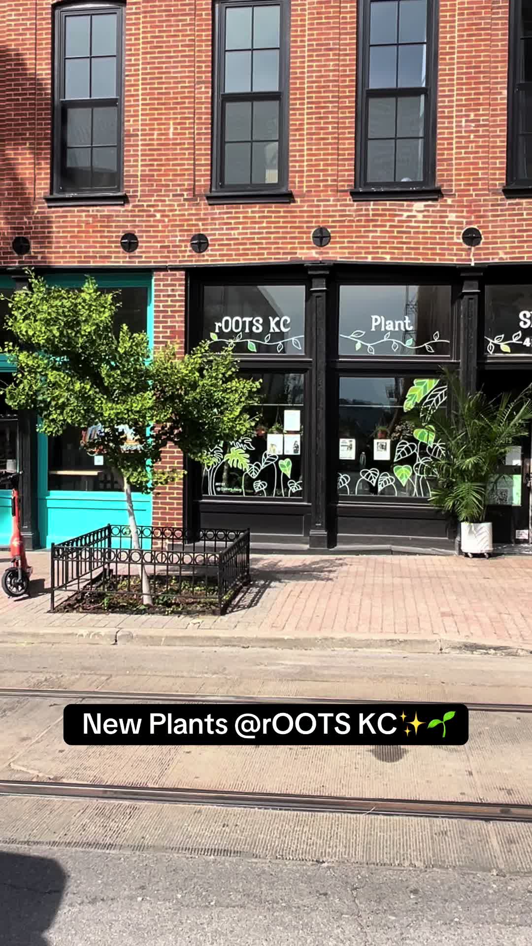 @Rootskc