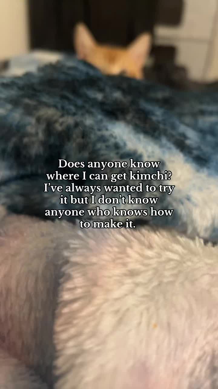 @L͜͡u͜͡l͜͡u͜͡ ⛈