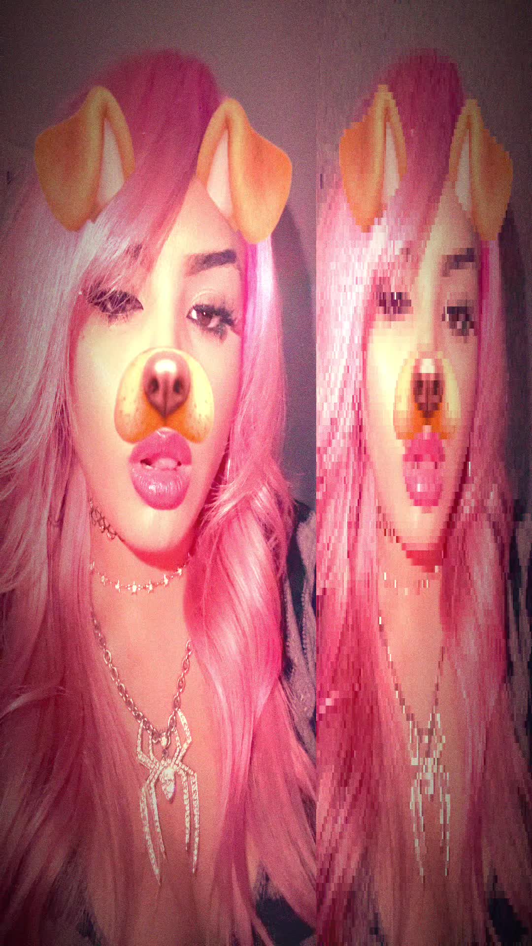 @arizstocat