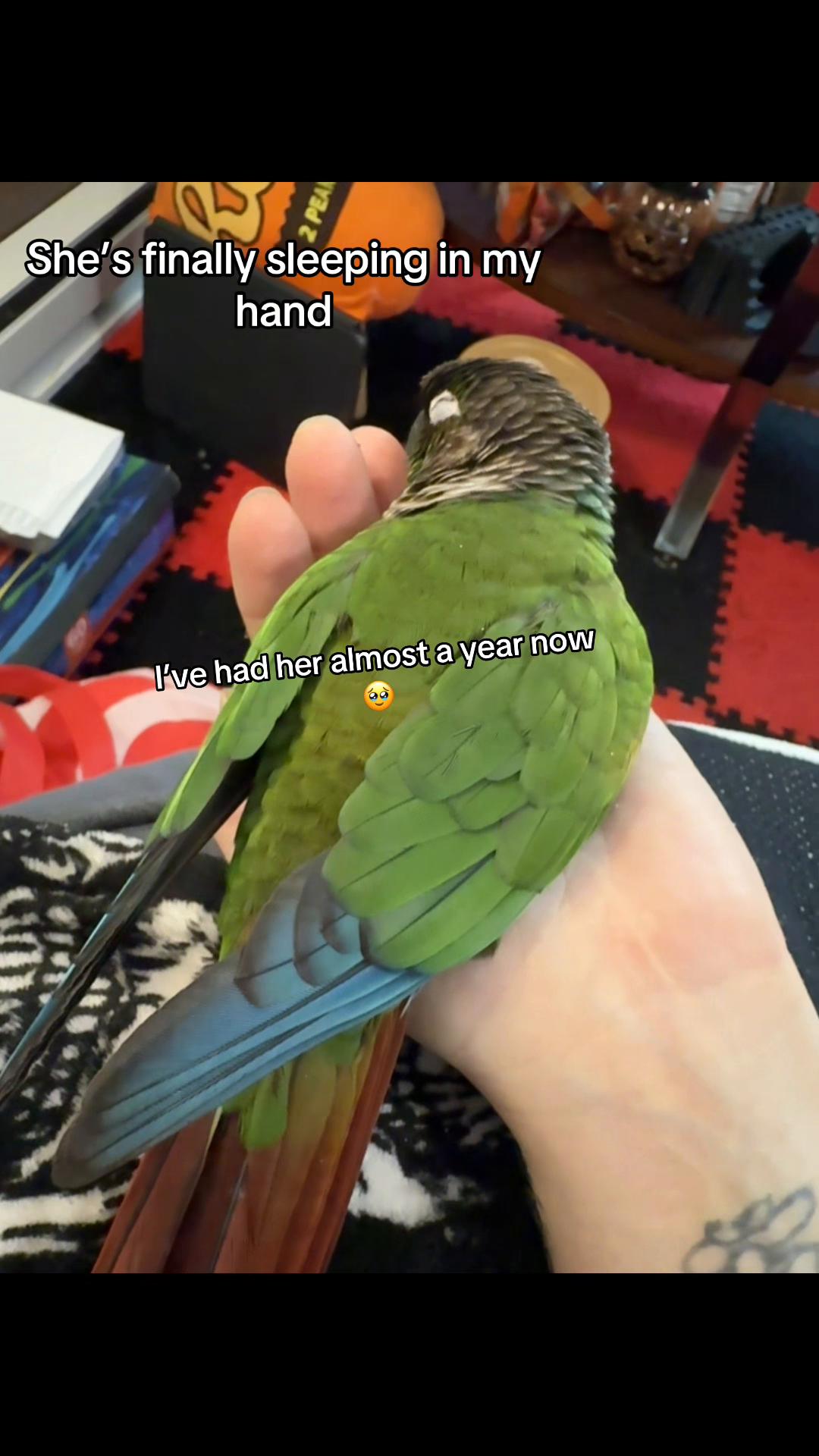 @birdgirl411