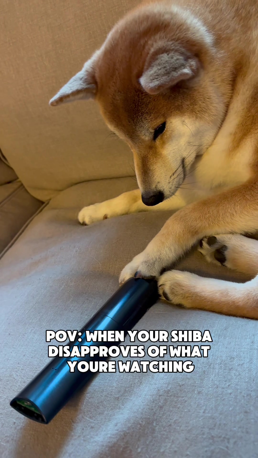 @Levi Shiberman