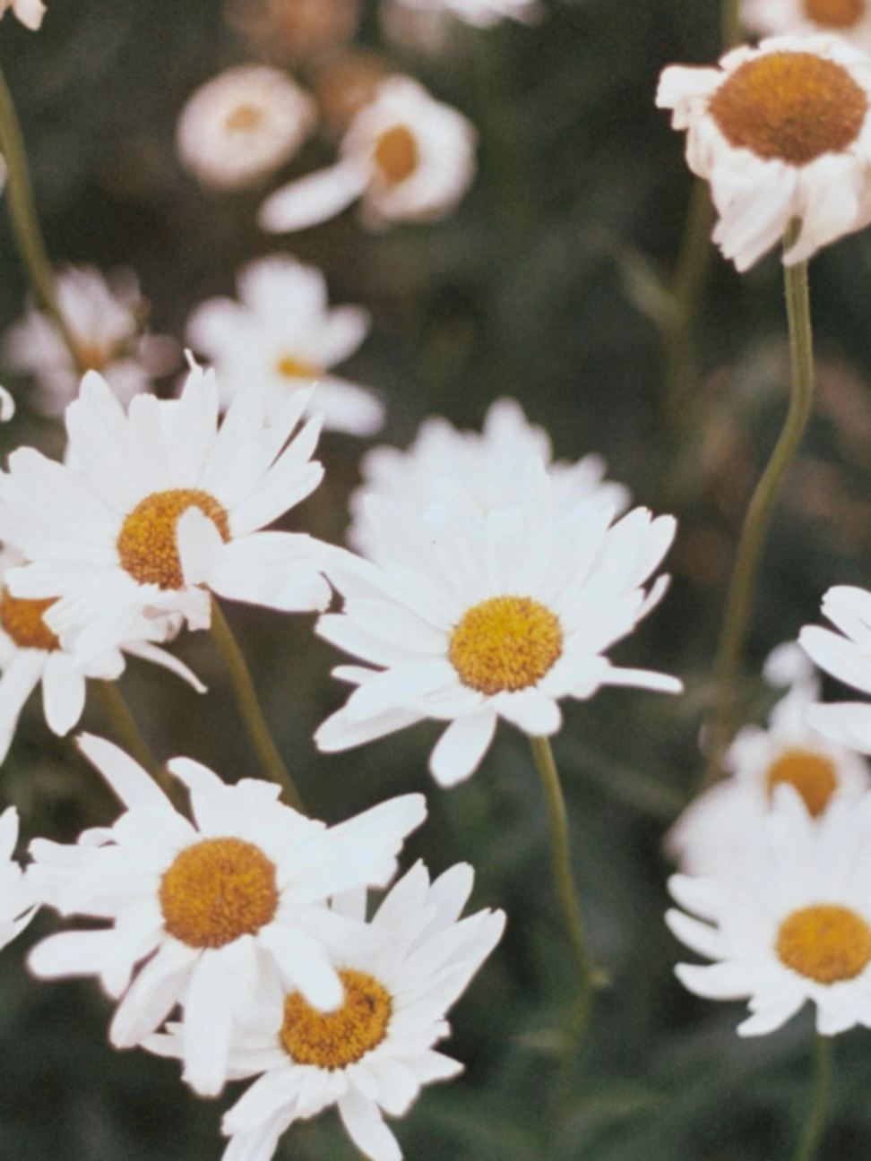 @theyearning.archive
