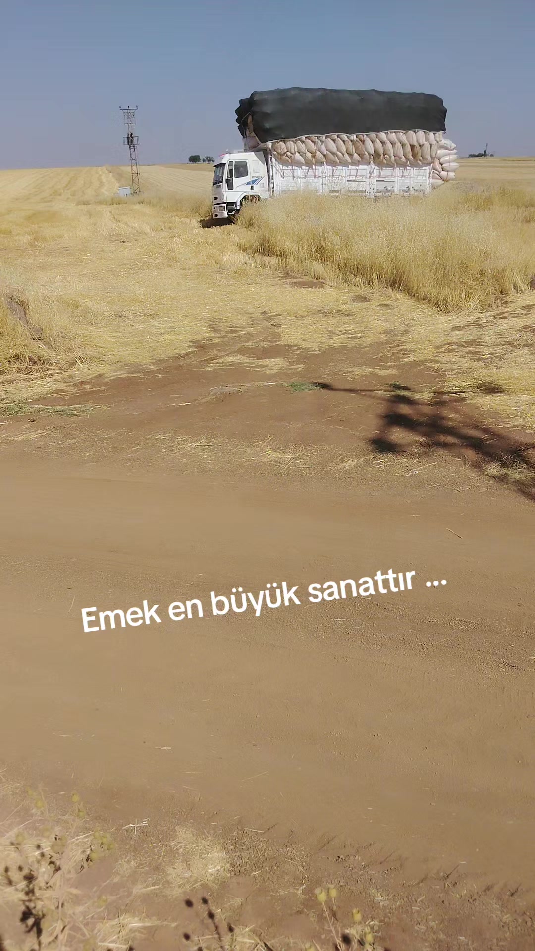 @Hamza Bayram