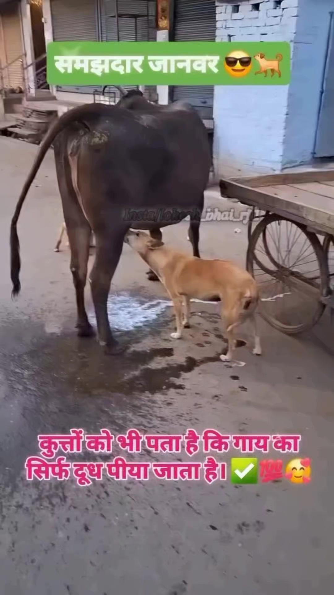 @Ishan Mohd