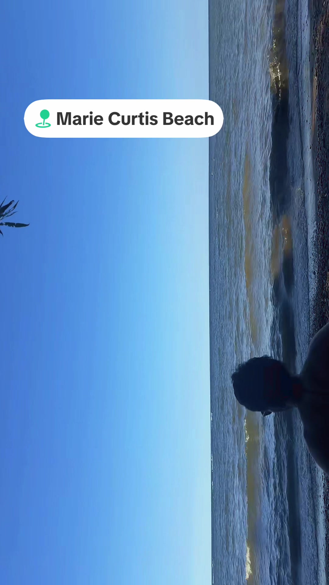 @vehlijanta761