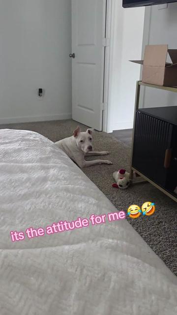 @Katie Marie