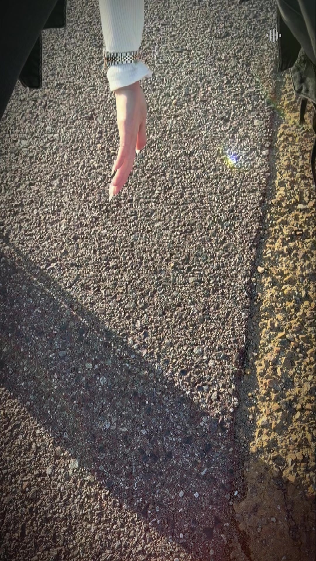 @SuPon🦞