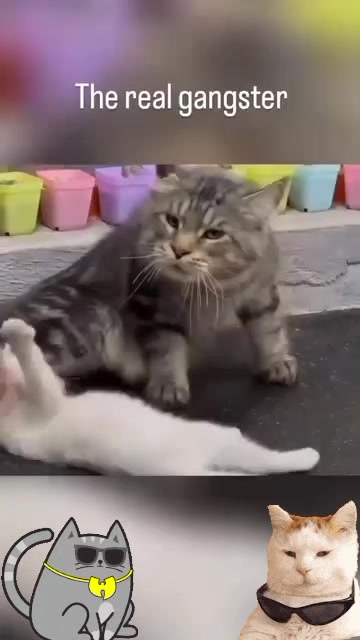 @OLDMAN77