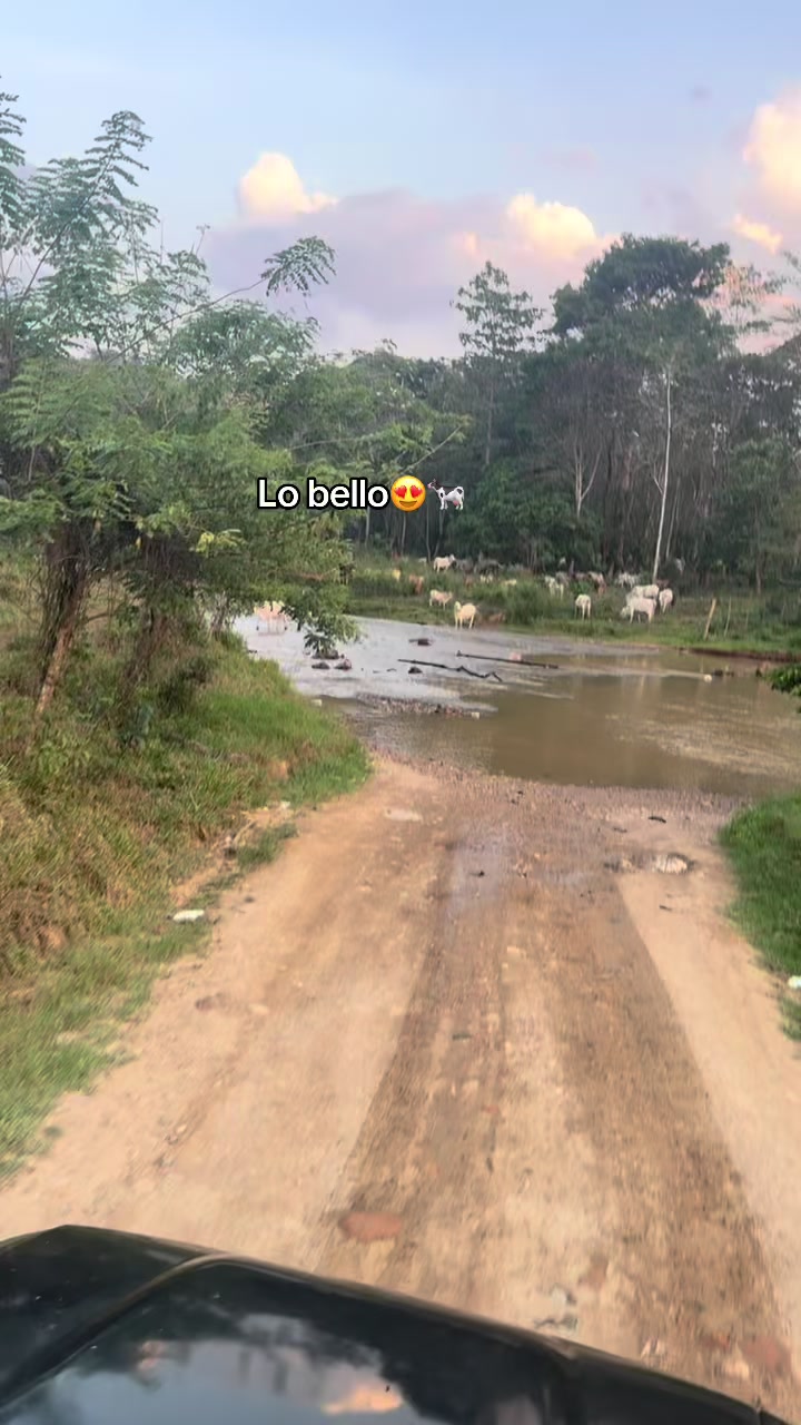 @𝙣𝙖𝙣𝙘𝙮-𝙧𝙞𝙫𝙚𝙧𝙖