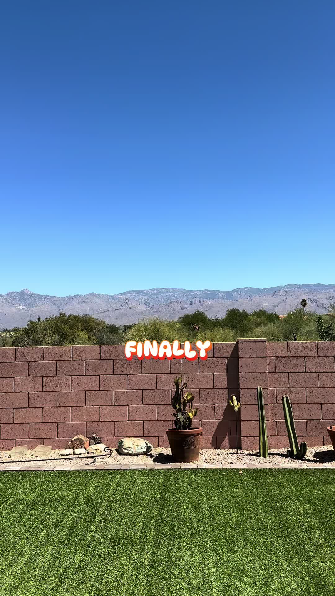 @keliisa🌵✈️