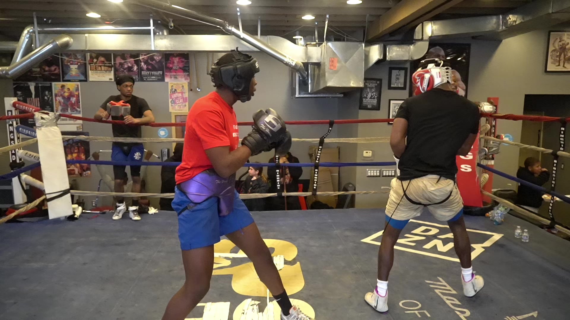 @P2D BOXING PODCAST 🥊🥊🔥🔥